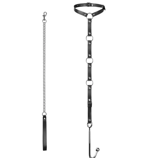Hook Leash with and 5853 Collar Kinky Anal EverydayUse 0714